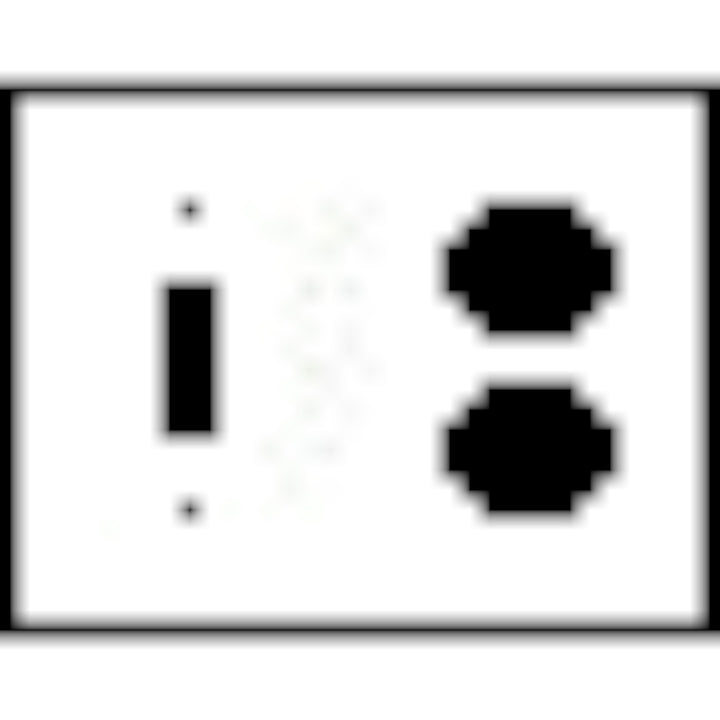 Bamboo Style Wall Plate (Antique Brass Gold Finish)