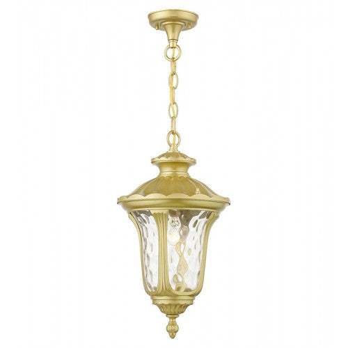 1 Light Soft Gold Outdoor Medium Pendant Lantern Livex