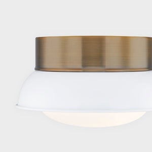 Arnie Flush Mount Troy Lighting