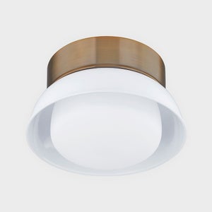 Arnie Flush Mount Troy Lighting