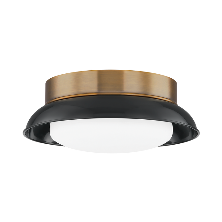 Arnie Flush Mount Troy Lighting