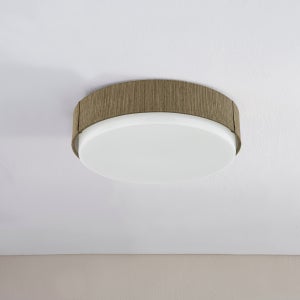 Zane Flush Mount Troy Lighting