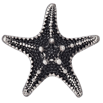 1 3/4 Inch  Ocean Seaside Nautical Solid Pewter Decorative Starfish Knob (Satin Pewter Finish) COPPER MOUNTAIN HARDWARE