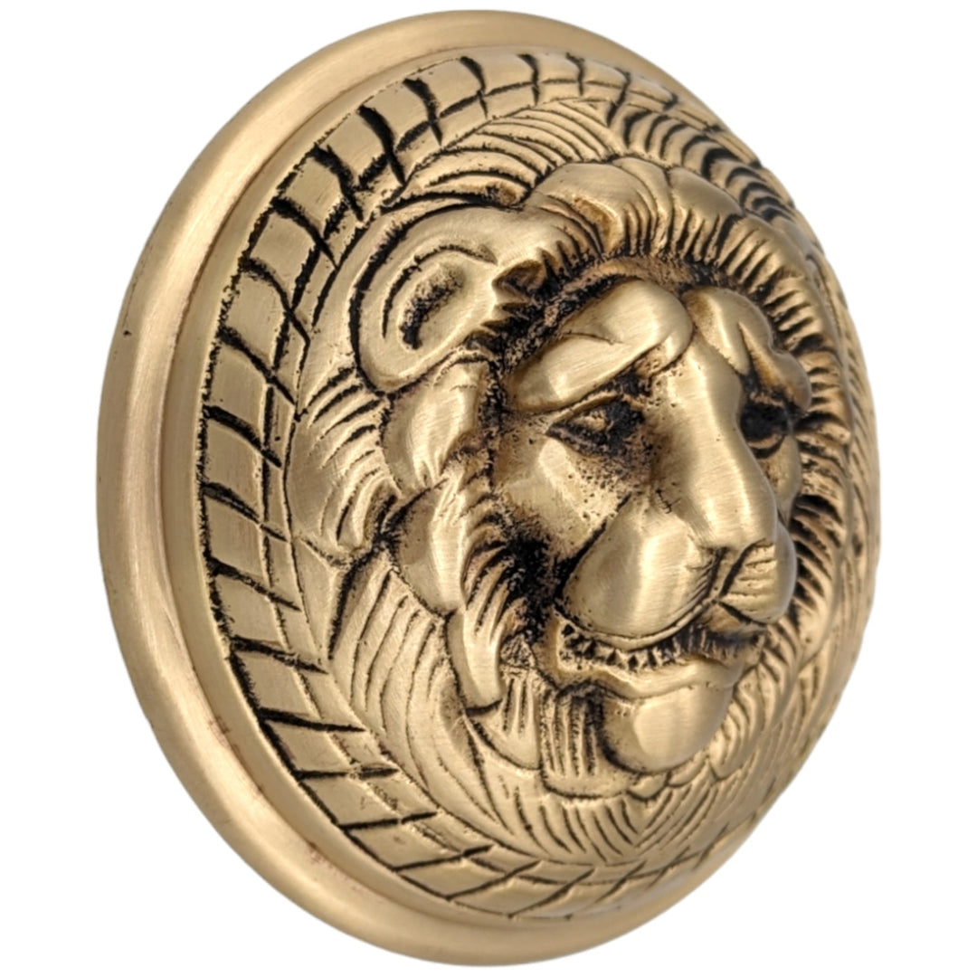 Romanesque Rosette Door Set with Lion Door Knobs (Several Finishes Available) COPPER MOUNTAIN HARDWARE