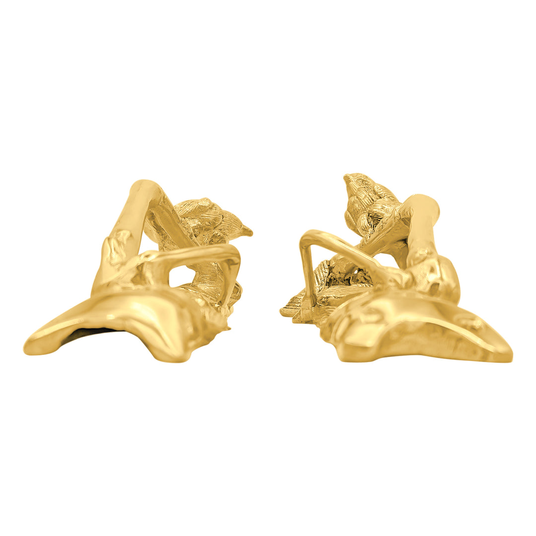 Solid Brass Bamboo and Wren Bird Pulls