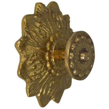 2 2/5 Inch Solid Brass Victorian Sunflower Knob (Polished Brass Finish) COPPER MOUNTAIN HARDWARE