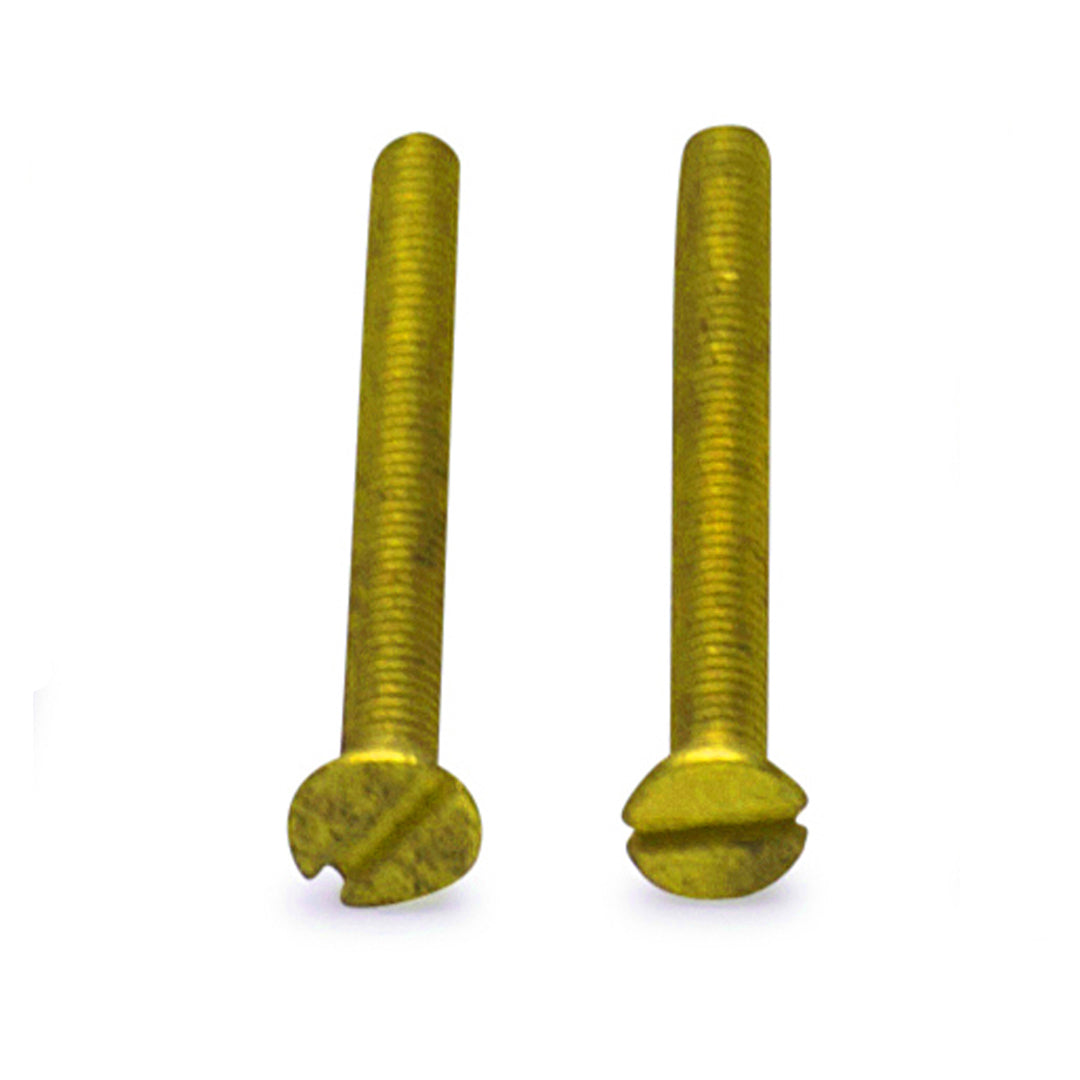 Pair of Standard Rosette Screws (Polished Brass) COPPER MOUNTAIN HARDWARE